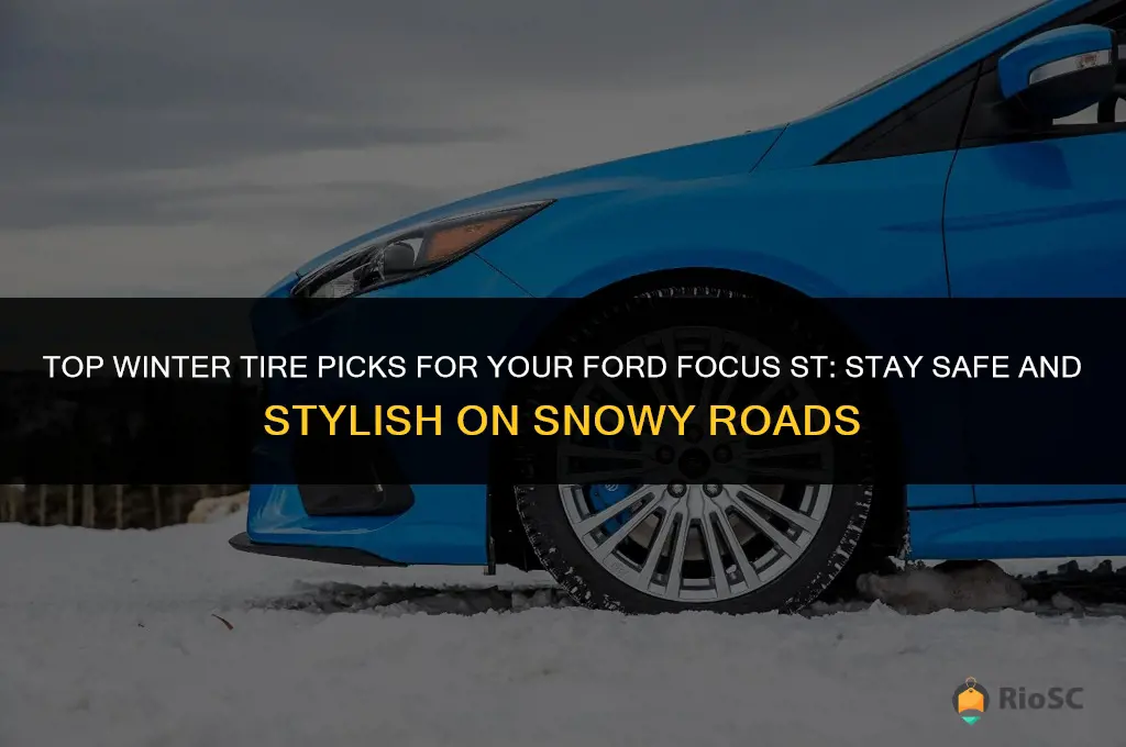best winter tires for focus st