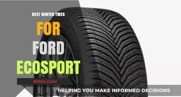 Top Winter Tire Picks for Your Ford EcoSport: Stay Safe and Stylish on Snowy Roads