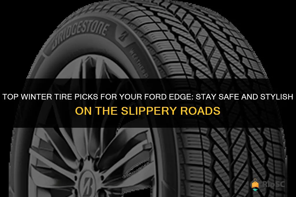 best winter tires for ford edge