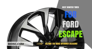 Top Winter Tire Picks for Your Ford Escape: Stay Safe and Stylish on the Slippery Roads