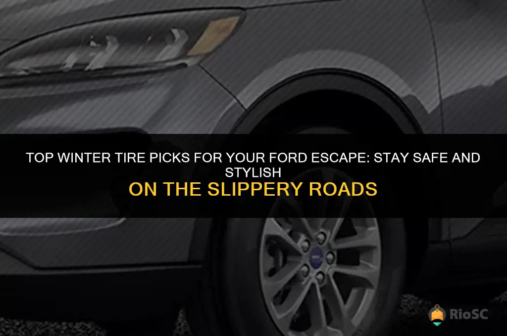 best winter tires for ford escape