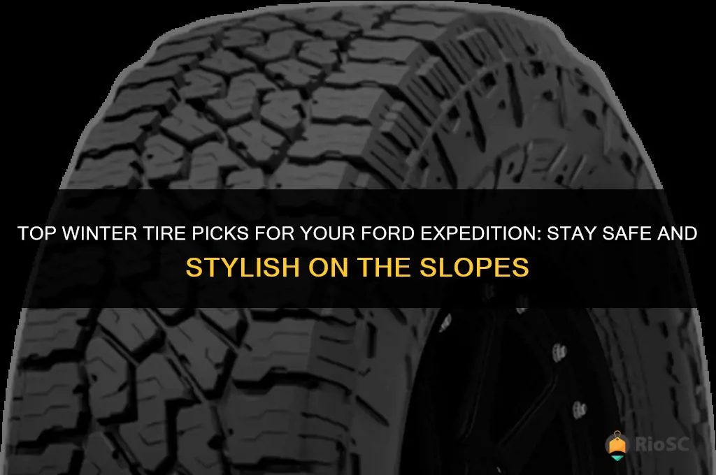best winter tires for ford expedition