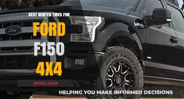 Top Winter Tire Picks for Your Ford F-150 4x4: Stay Safe and Mobile in Snowy Conditions