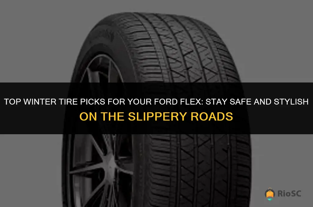 best winter tires for ford flex