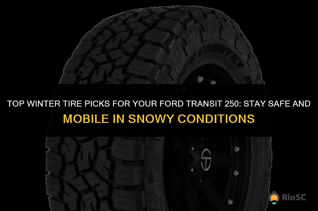 best winter tires for ford transit 250