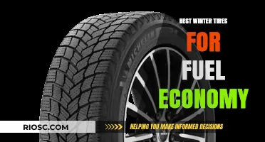 Optimize Your Winter Drive: Top Fuel-Efficient Tires for the Cold Season