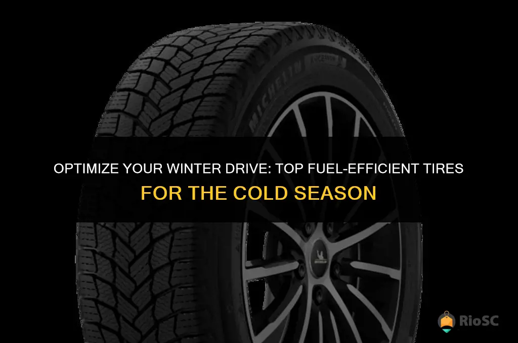 best winter tires for fuel economy