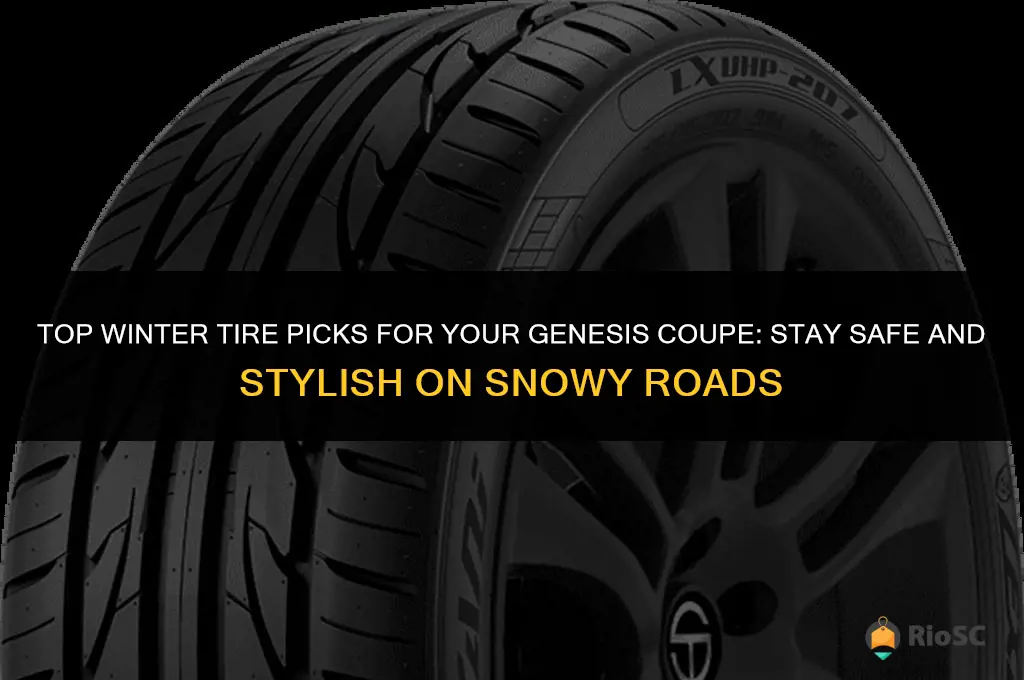 best winter tires for genesis coupe