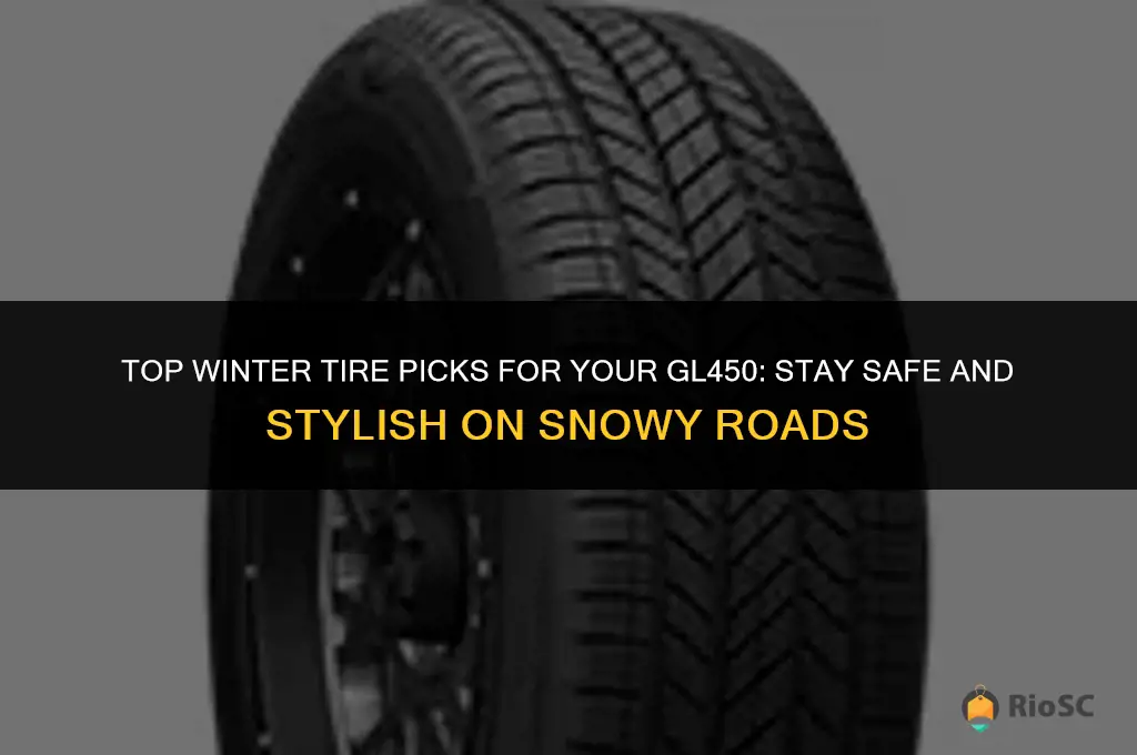 best winter tires for gl450