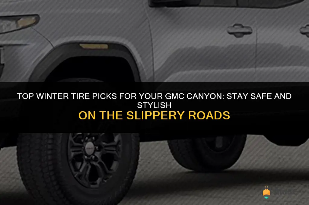 best winter tires for gmc canyon