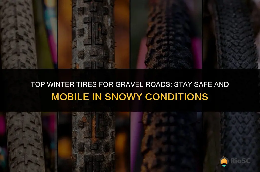 best winter tires for gravel roads
