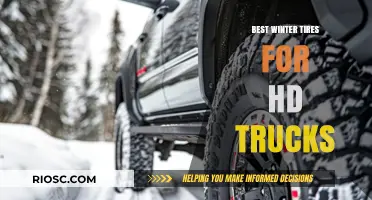 Top Winter Tires for Heavy-Duty Trucks: Stay Safe on Snowy Roads