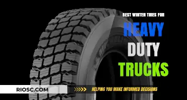 Top Winter Tires for Heavy-Duty Trucks: Ensuring Safety and Performance on Snowy Roads