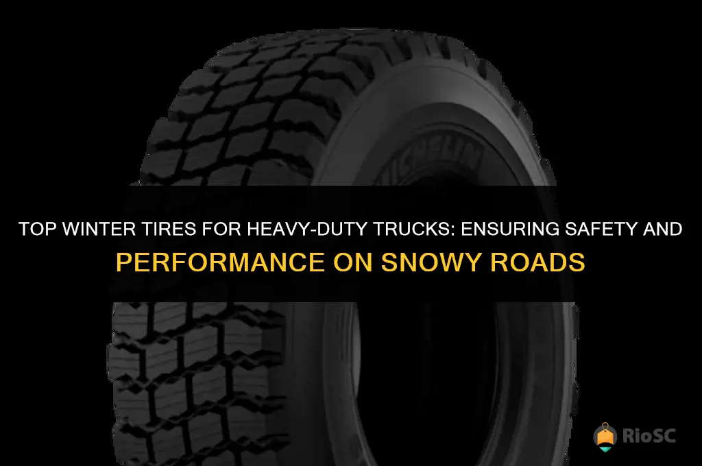 best winter tires for heavy duty trucks