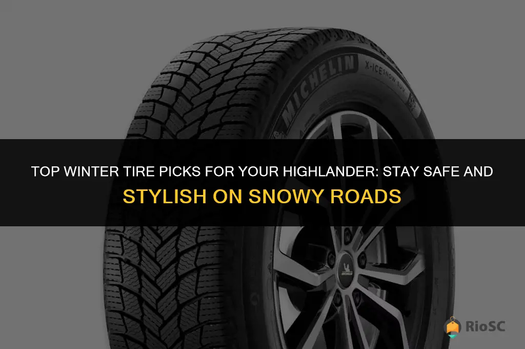 best winter tires for highlander