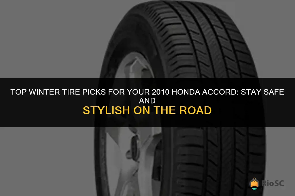 best winter tires for honda accord 2010
