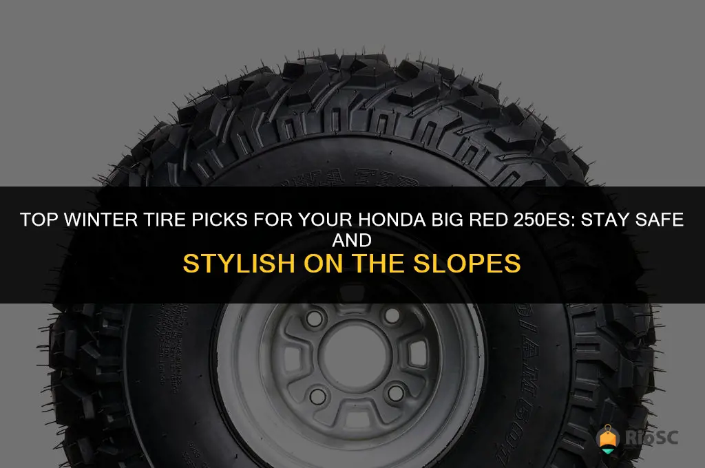 best winter tires for honda big red 250es