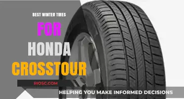 Top Winter Tire Picks for Your Honda Crosstour: Stay Safe and Stylish on Snowy Roads