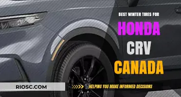 Top Winter Tire Picks for Honda CR-V Owners in Canada