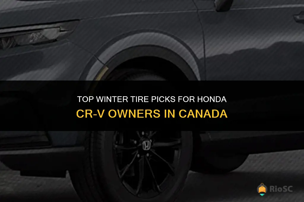 best winter tires for honda crv canada