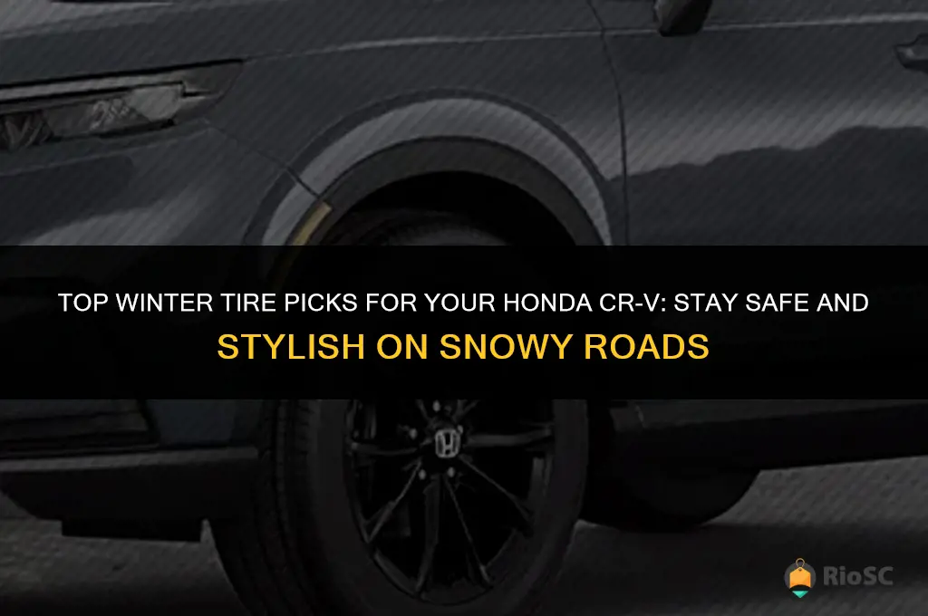best winter tires for honda crv