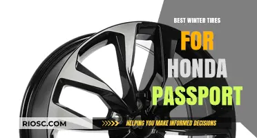 Top Winter Tire Picks for Your Honda Passport: Stay Safe and Stylish on the Slopes