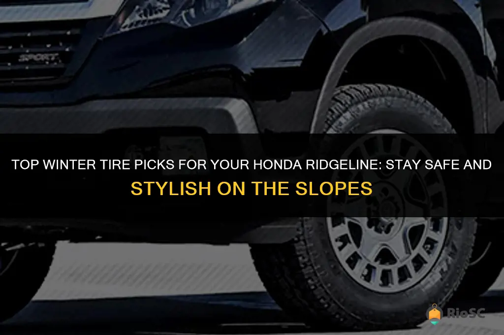 best winter tires for honda ridgeline