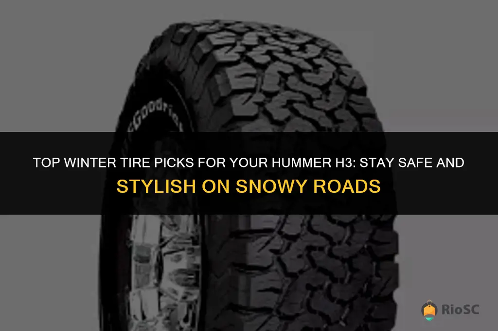 best winter tires for hummer h3