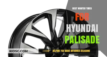 Top Winter Tire Picks for Your Hyundai Palisade: Stay Safe and Stylish on Snowy Roads