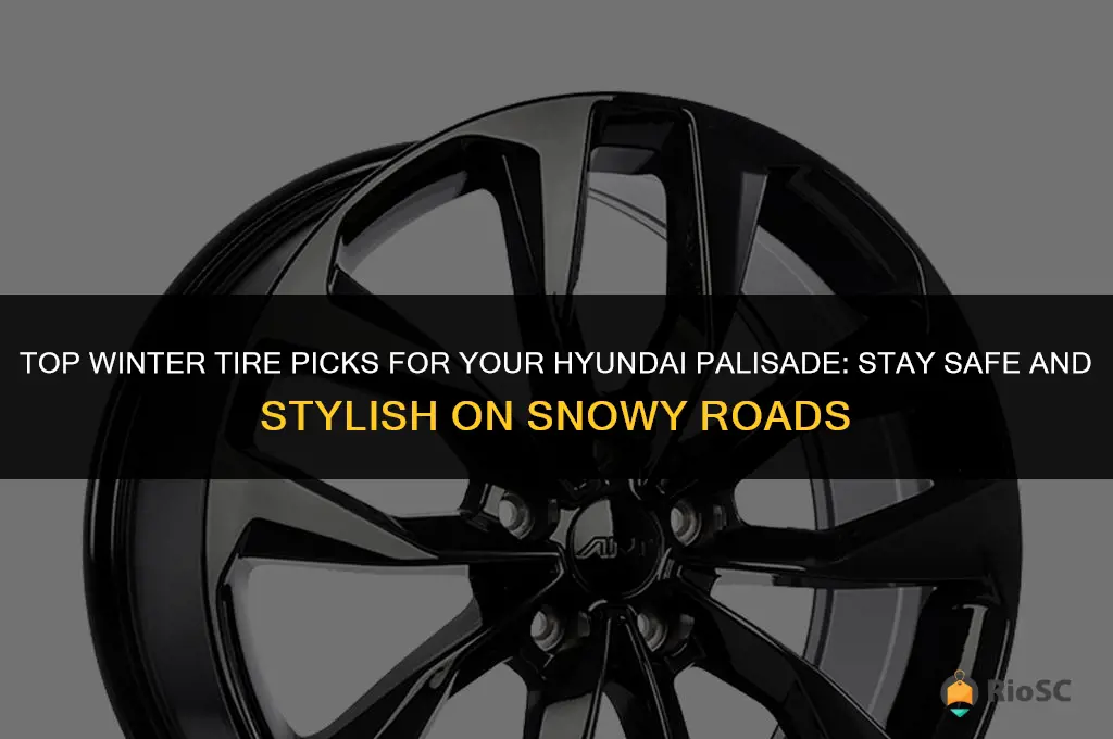 best winter tires for hyundai palisade