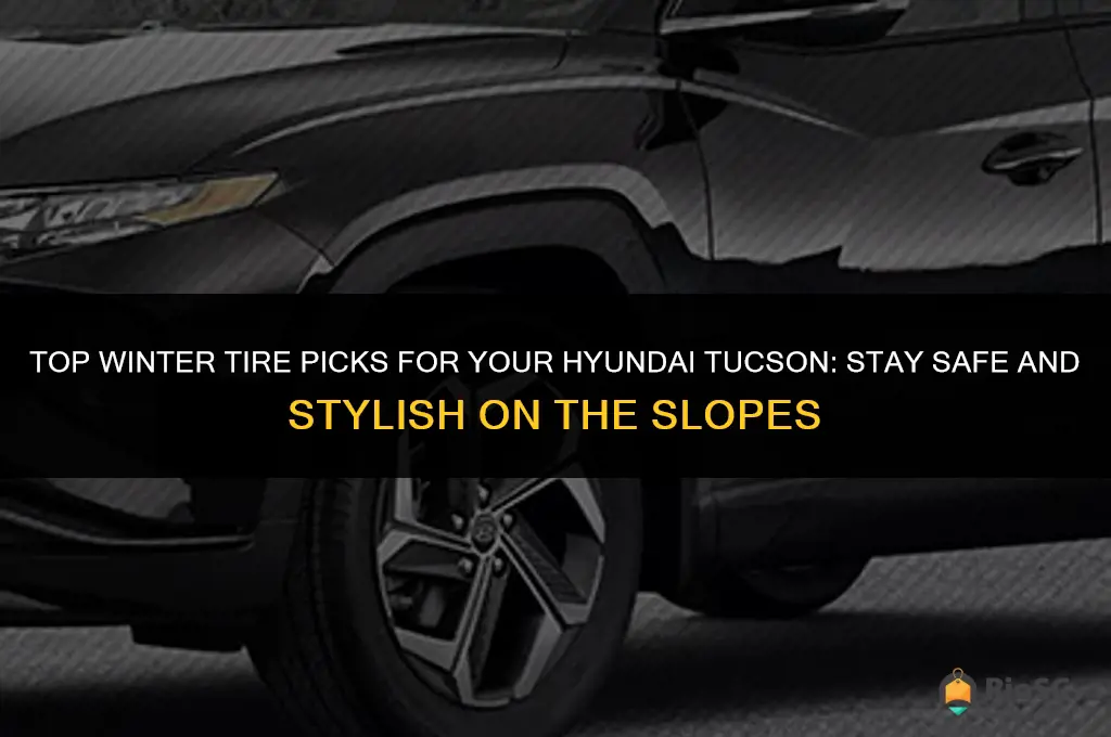 best winter tires for hyundai tucson
