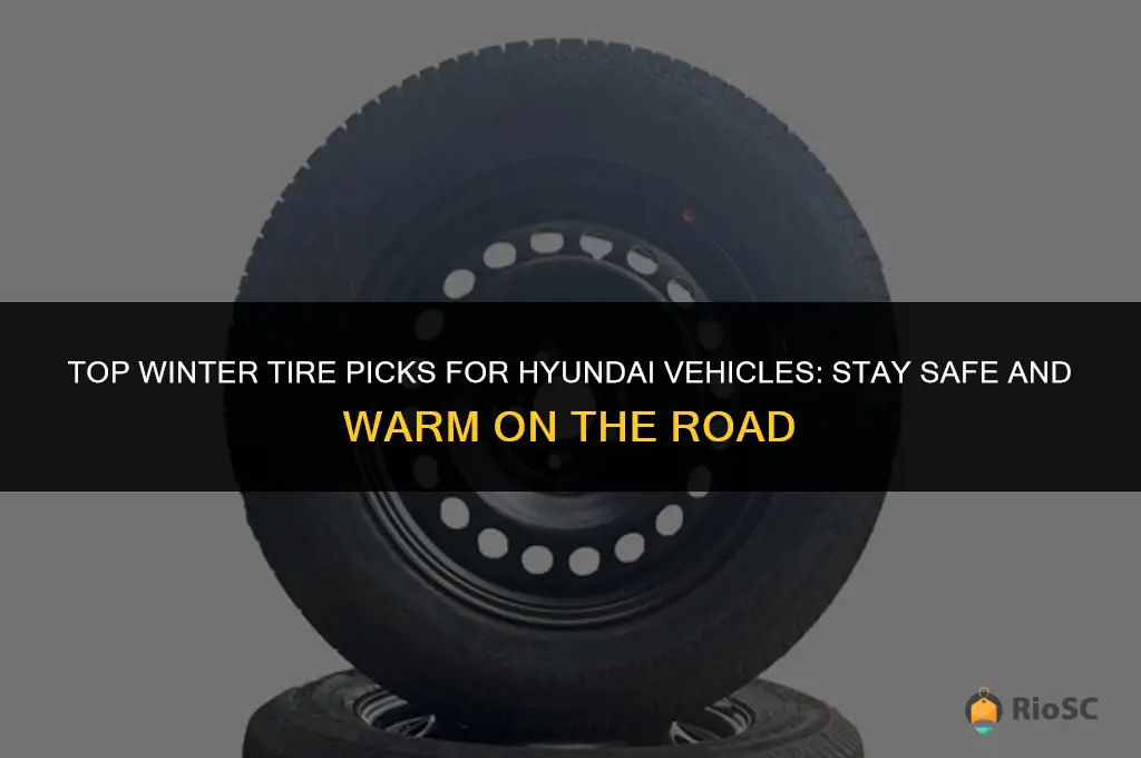best winter tires for hyundai
