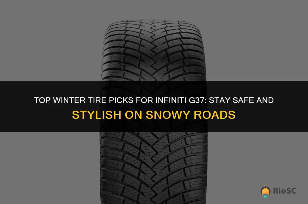 best winter tires for infiniti g37