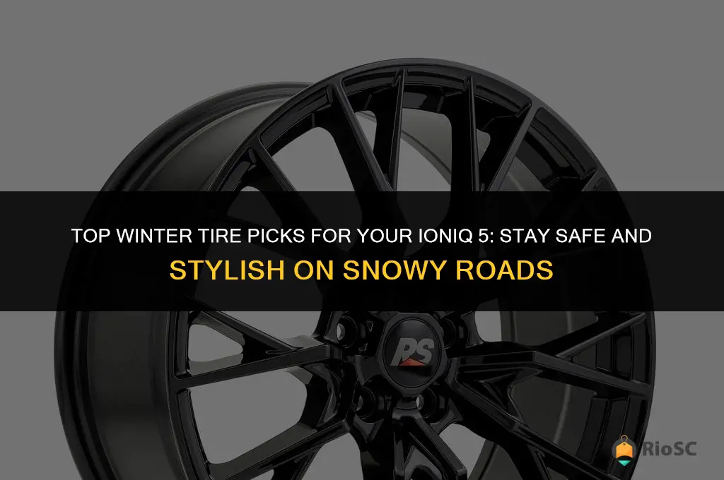 best winter tires for ioniq 5