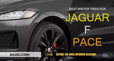 Top Winter Tire Picks for Your Jaguar F-PACE: Stay Safe and Stylish on the Slopes