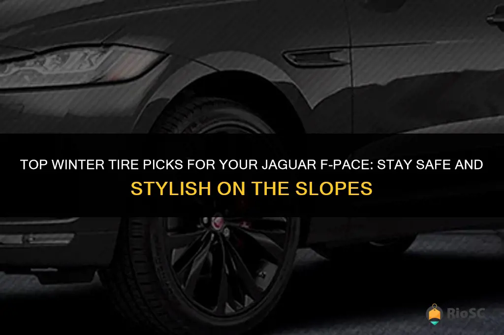 best winter tires for jaguar f pace