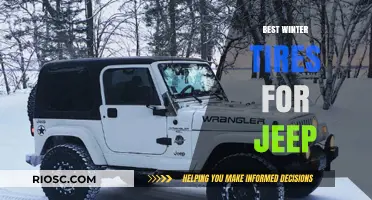 Top Winter Tire Picks for Your Jeep: Stay Safe and Stylish on the Slippery Roads