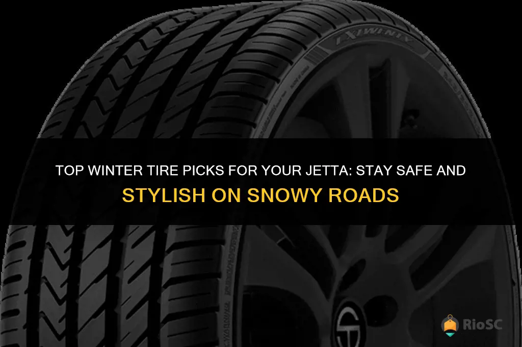 best winter tires for jetta