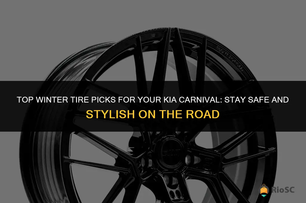 best winter tires for kia carnival
