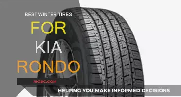 Top Winter Tire Picks for Your Kia Rondo: Stay Safe and Stylish on Snowy Roads