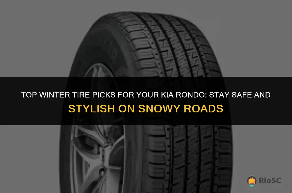 best winter tires for kia rondo