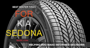 Top Winter Tire Picks for Your Kia Sedona: Stay Safe and Stylish on Snowy Roads