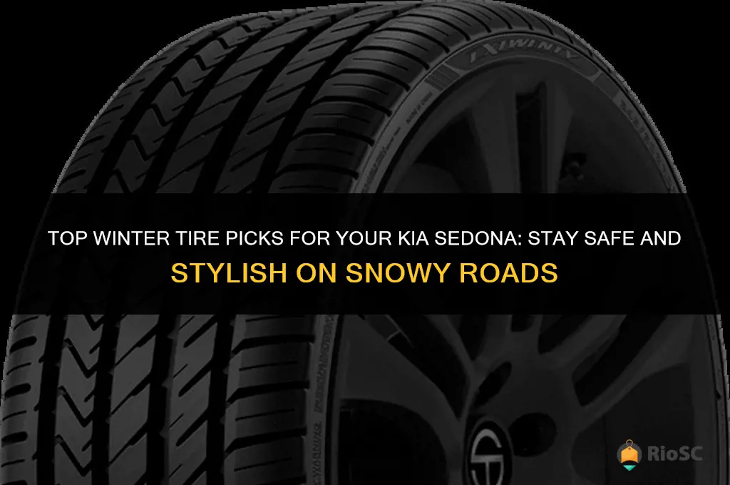 best winter tires for kia sedona