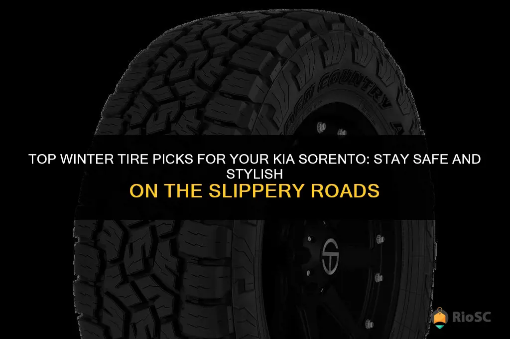 best winter tires for kia sorento