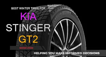 Top Winter Tire Picks for Kia Stinger GT2: Stay Safe and Stylish on Snowy Roads