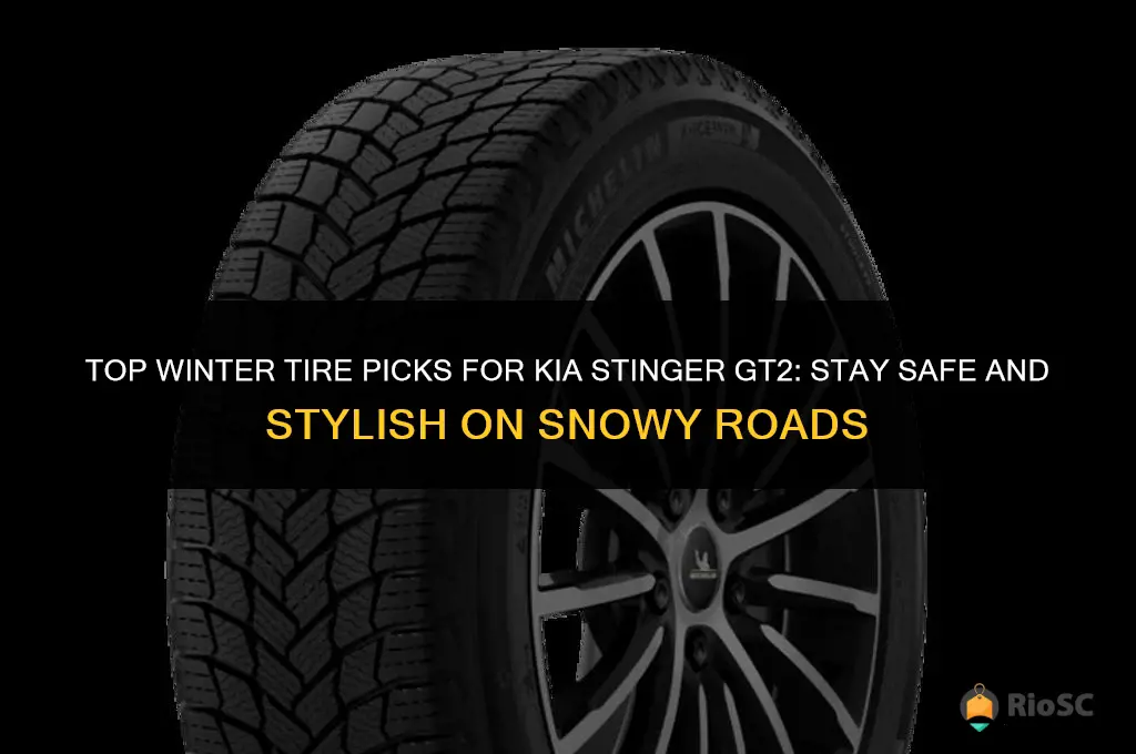 best winter tires for kia stinger gt2