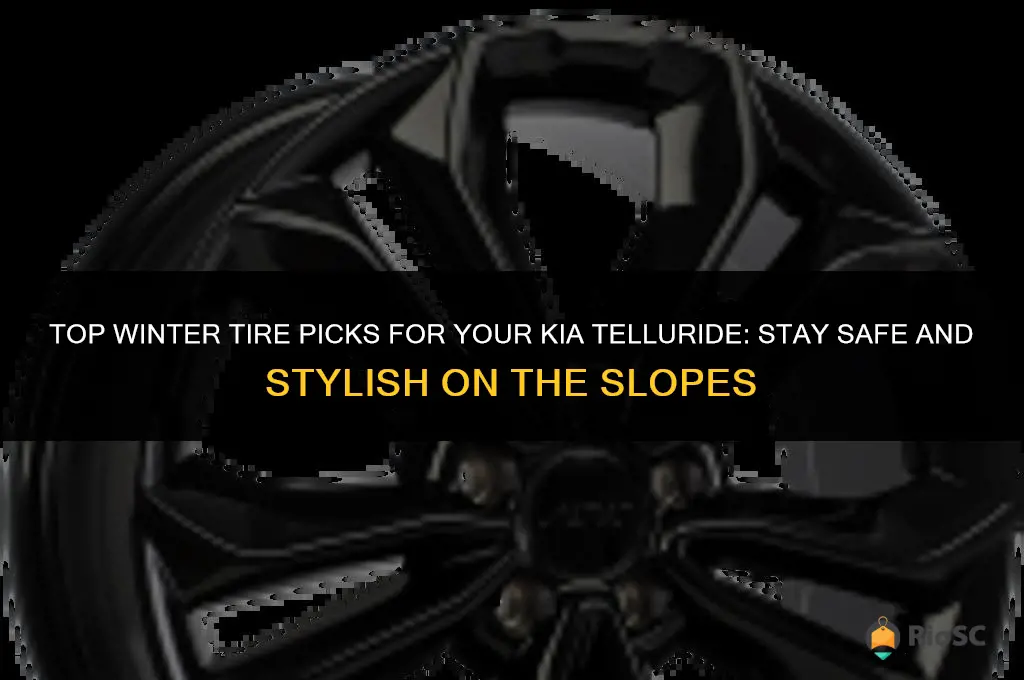 best winter tires for kia telluride