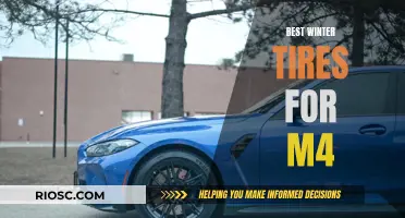 Top Winter Tire Picks for Your M4: Stay Safe and Stylish on the Slopes