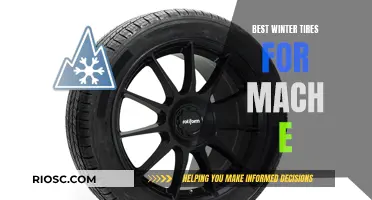 Top Winter Tire Picks for Your Mach-E: Stay Safe and Stylish on Snowy Roads