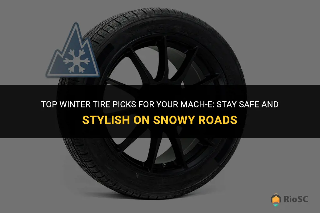 best winter tires for mach e